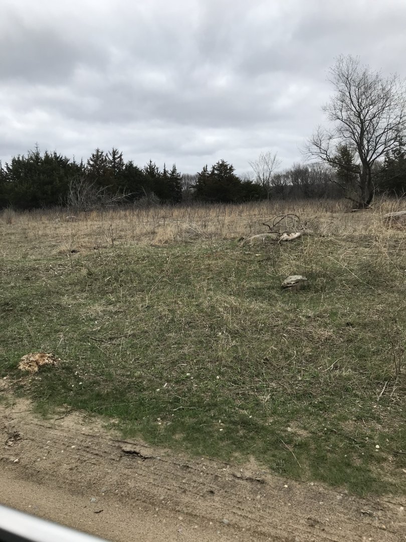 Minneopa State Park-American Plains Bison Exhibit