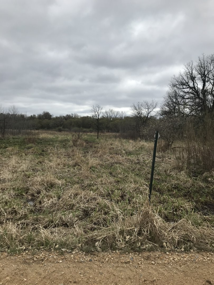 Minneopa State Park-American Plains Bison Exhibit