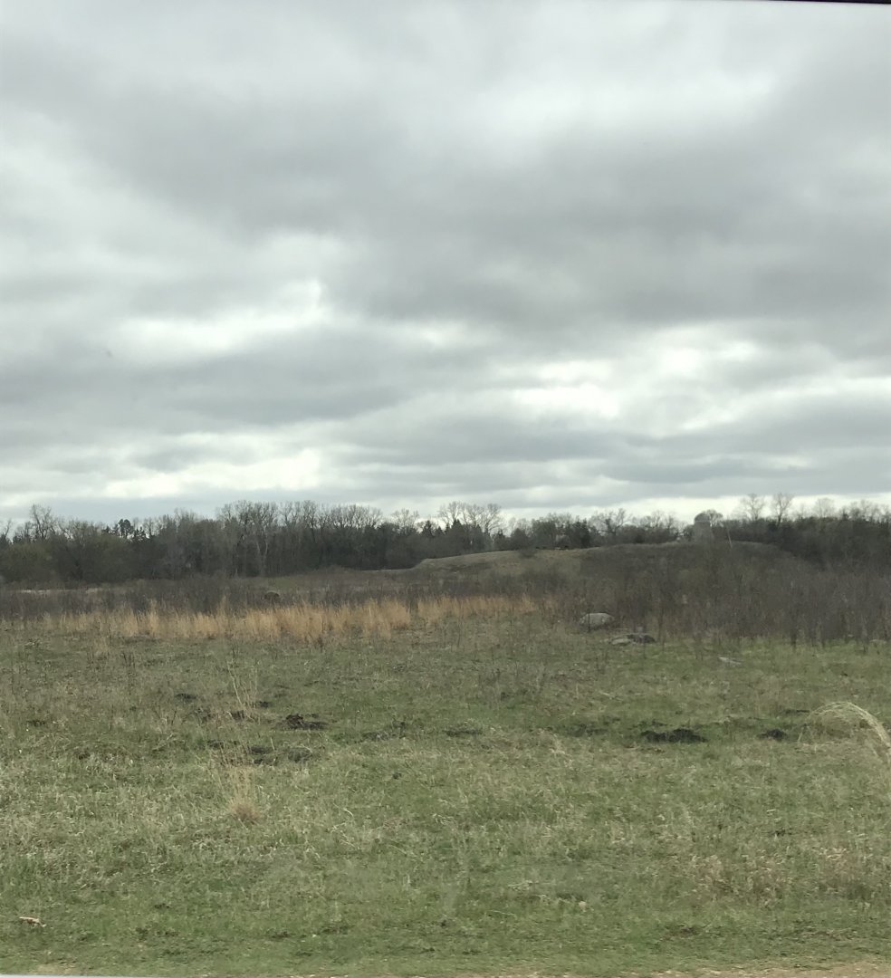 Minneopa State Park- American Plains Bison Exhibit