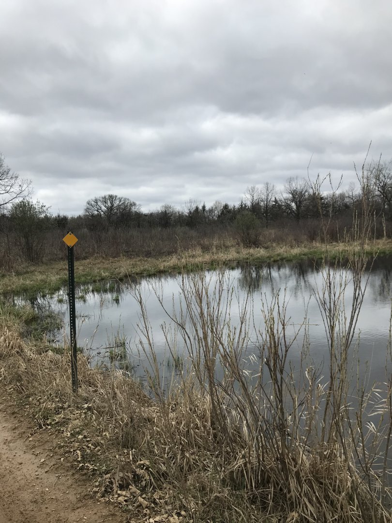 Minneopa State Park- American Plains Bison Exhibit