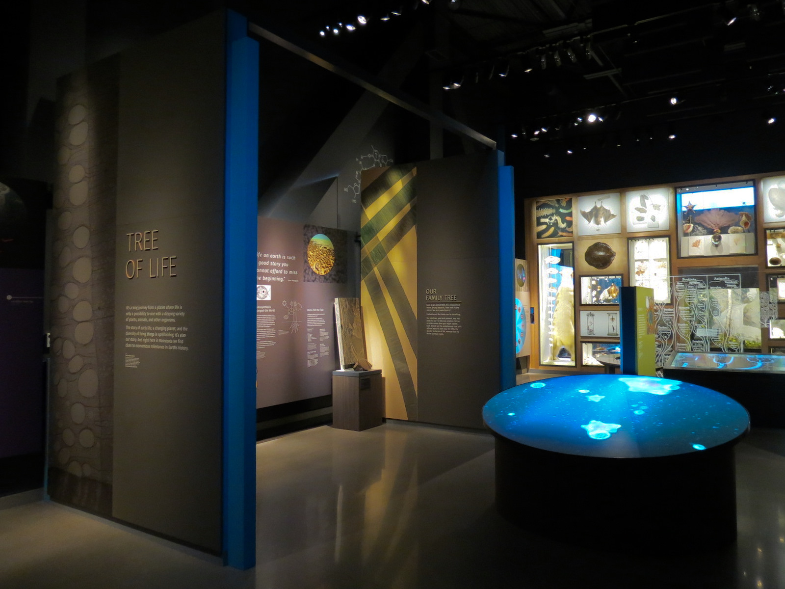 Minnesota Journeys - Tree of Life