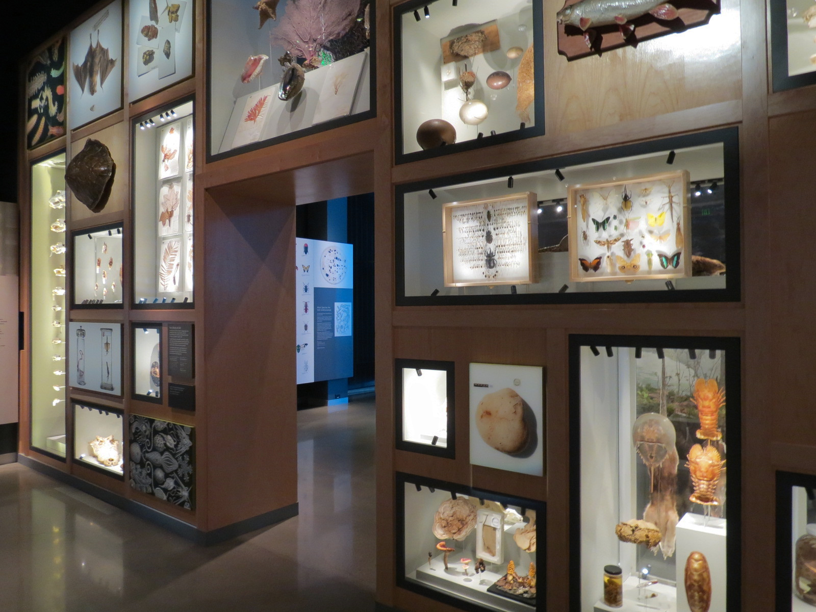 Minnesota Journeys - Tree of Life