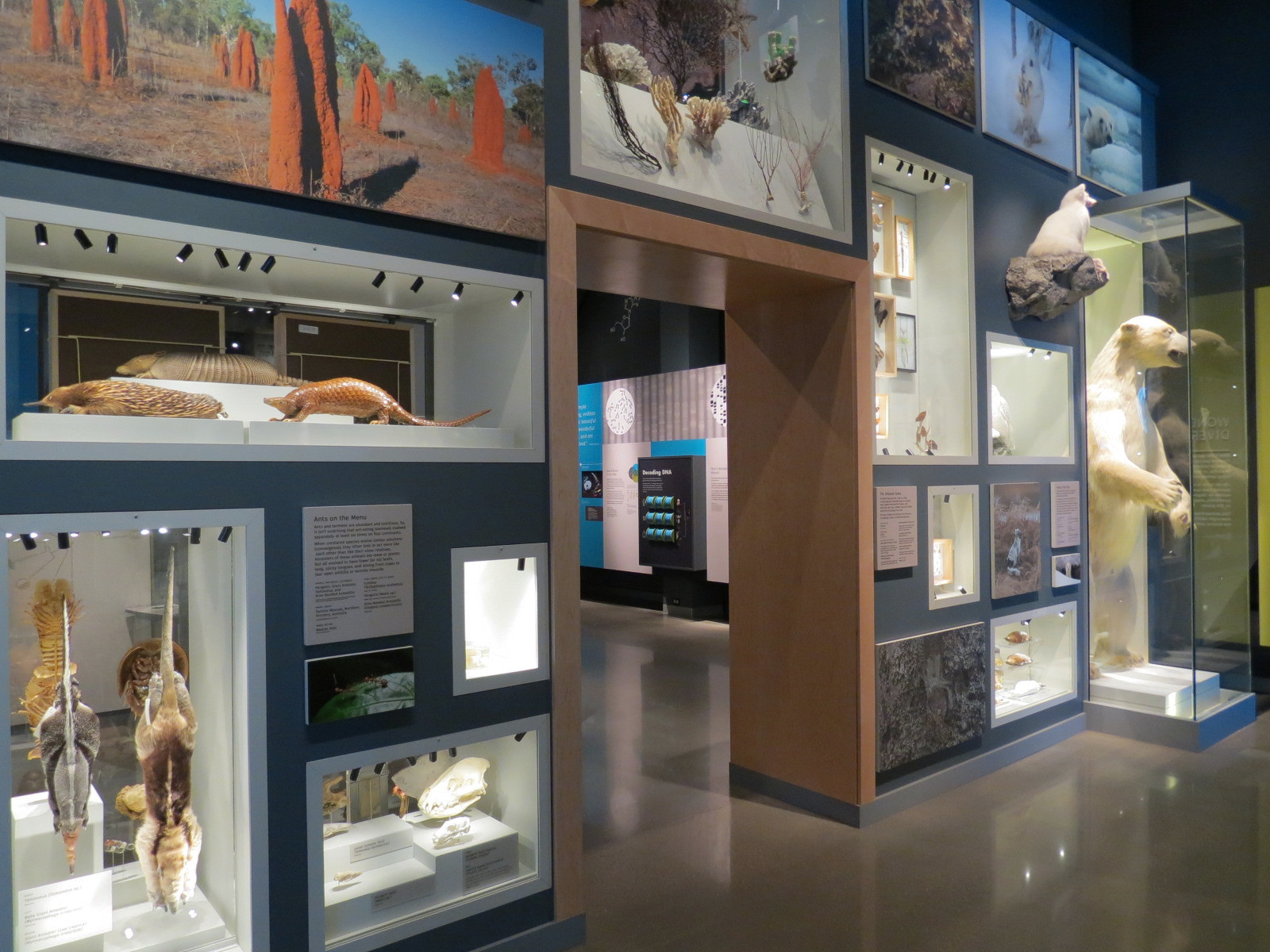 Minnesota Journeys - Tree of Life