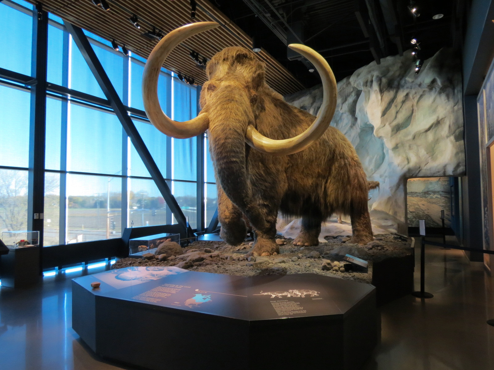 Minnesota Journeys - Tree of Life