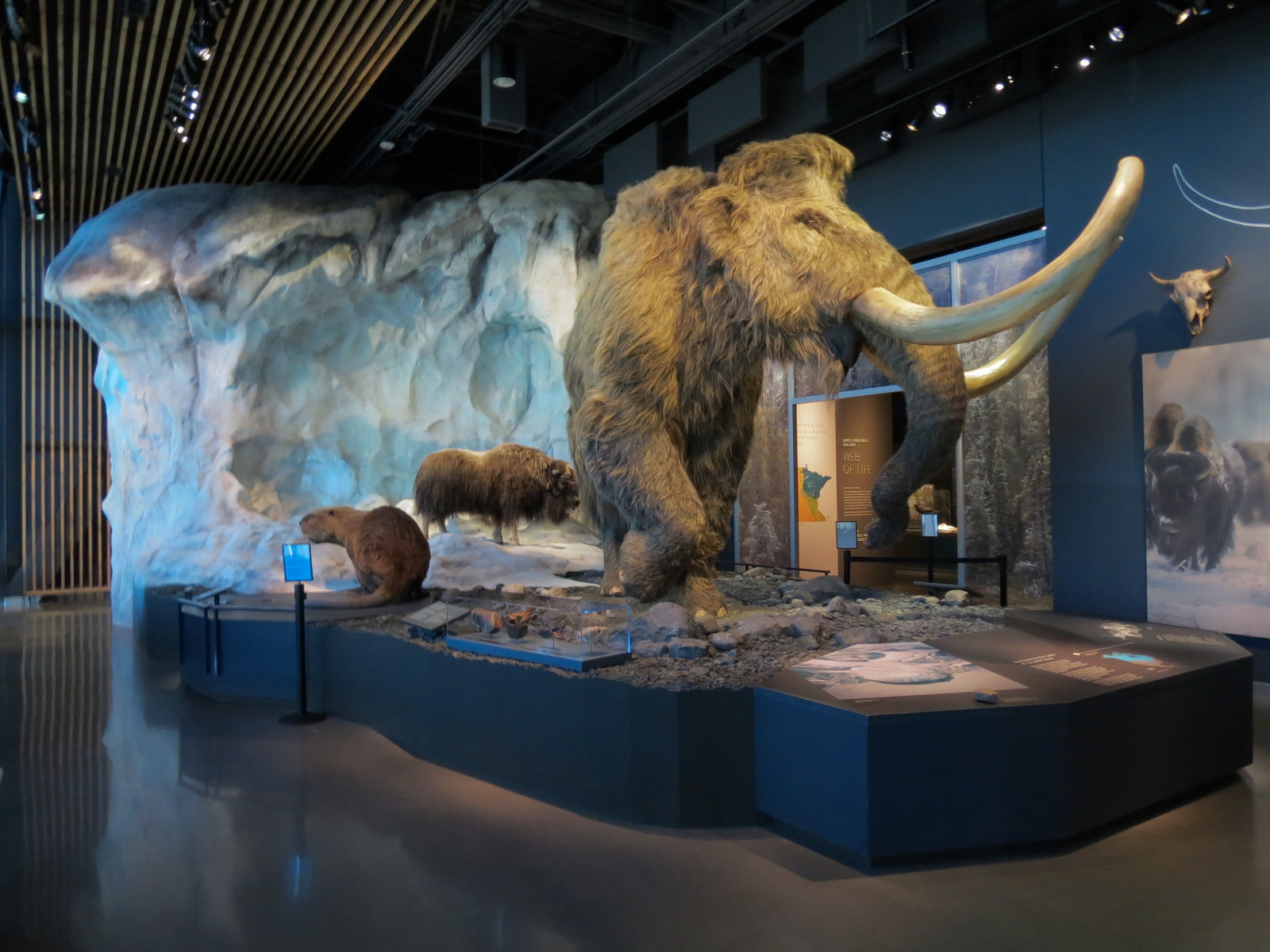 Minnesota Journeys - Tree of Life