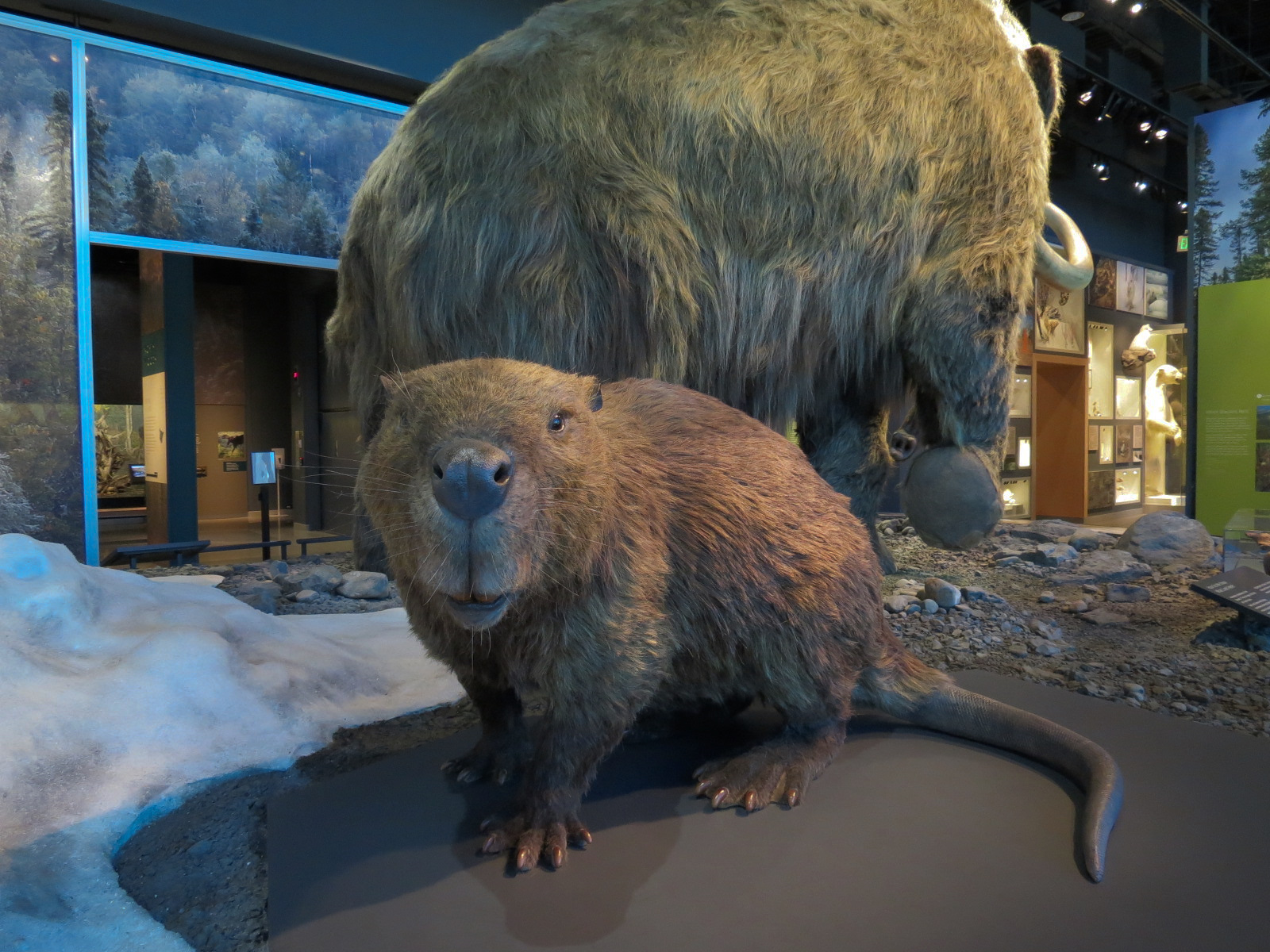 Minnesota Journeys - Tree of Life