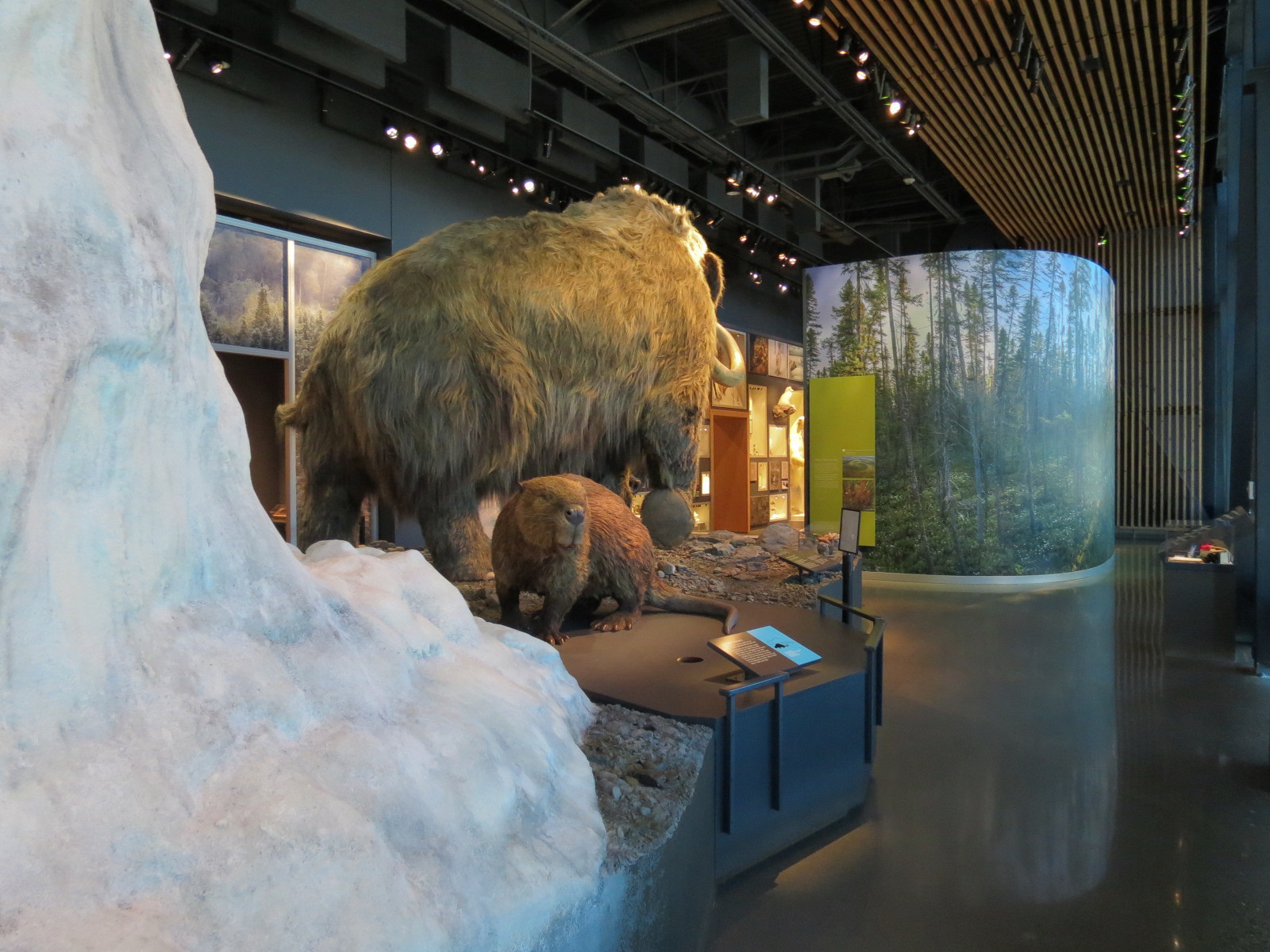 Minnesota Journeys - Tree of Life