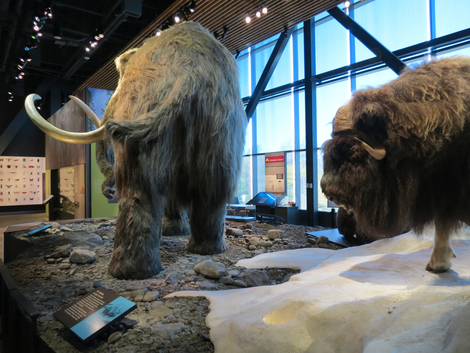 Minnesota Journeys - Tree of Life