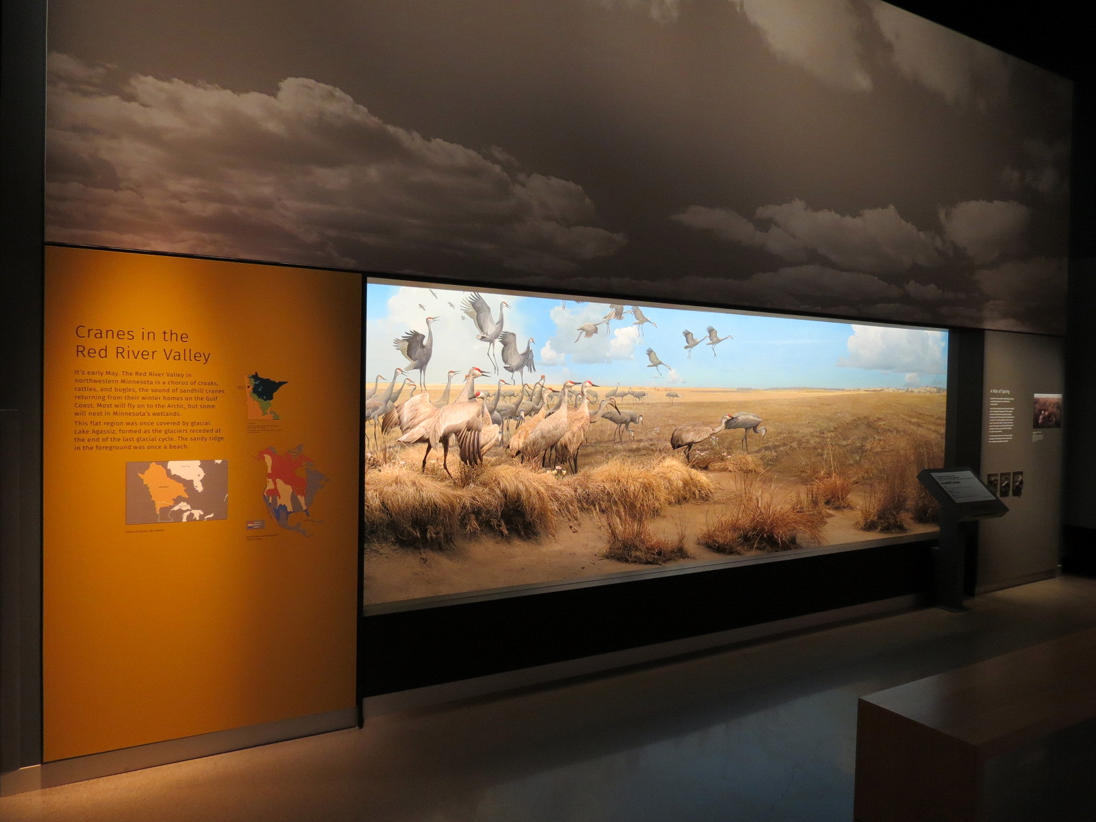 Minnesota Journeys - Web of Life - Cranes in the Red River Valley Diorama