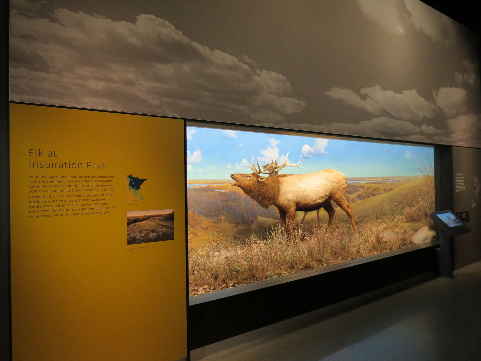 Minnesota Journeys - Web of Life - Elk at Inspiration Peak Diorama