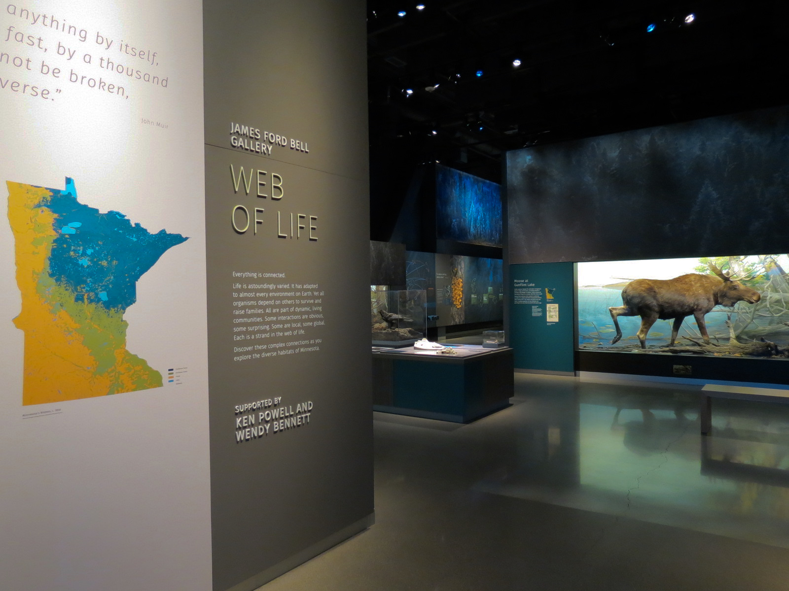 Minnesota Journeys - Web of Life