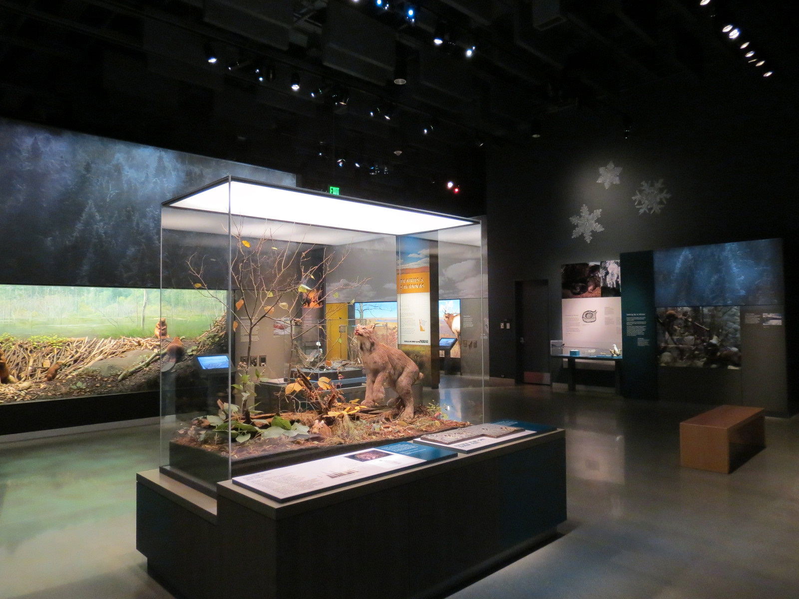 Minnesota Journeys - Web of Life