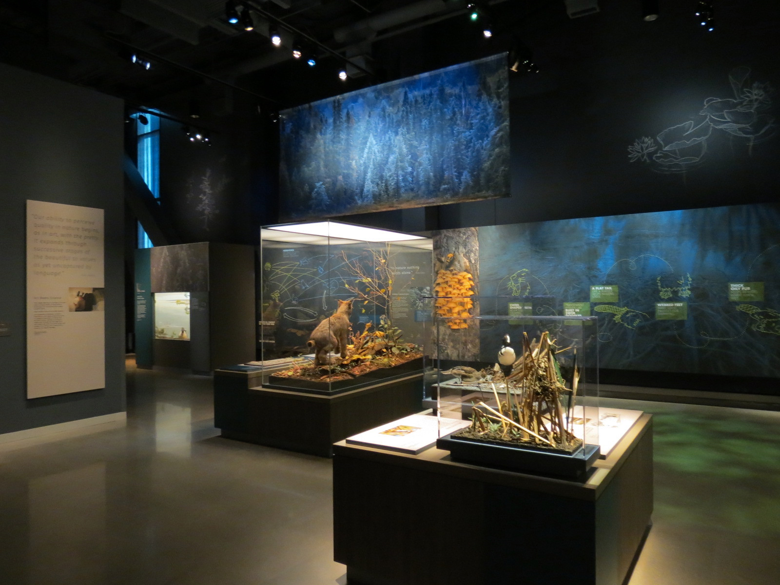 Minnesota Journeys - Web of Life