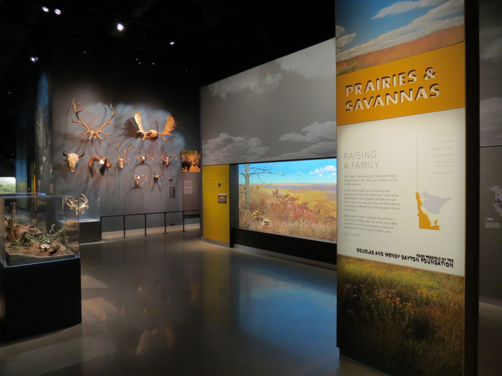 Minnesota Journeys - Web of Life