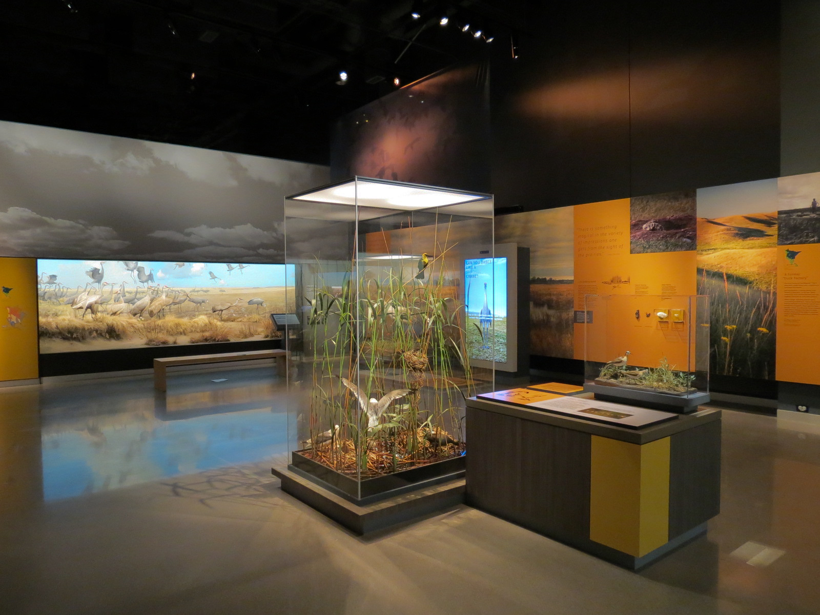 Minnesota Journeys - Web of Life