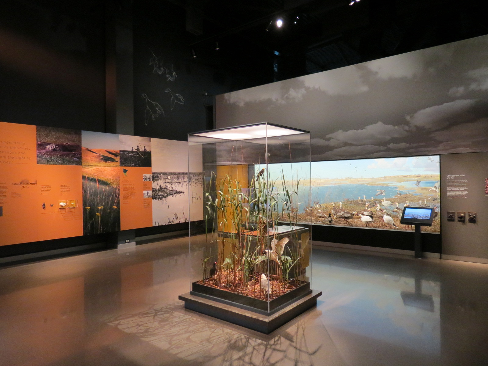 Minnesota Journeys - Web of Life