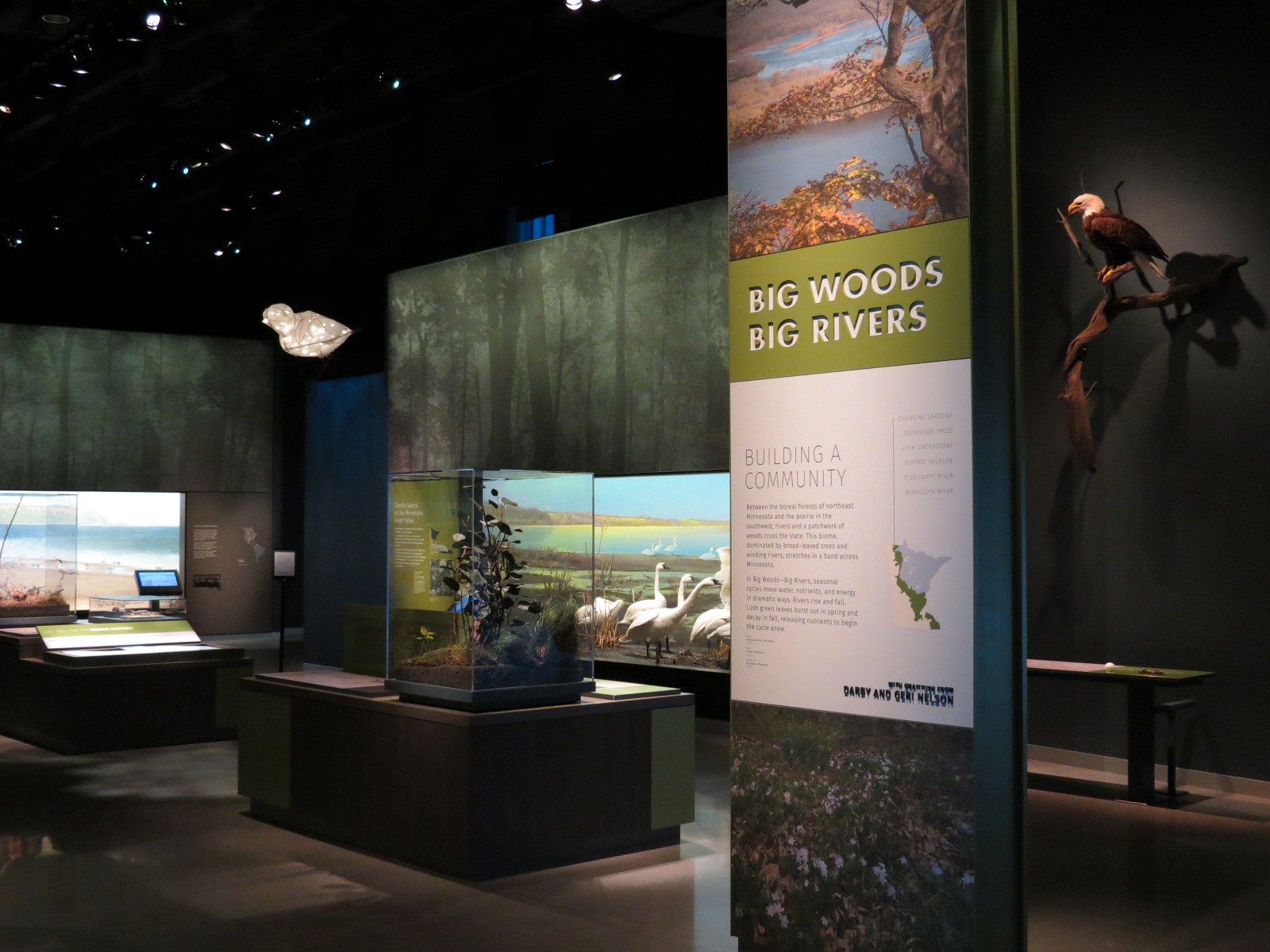 Minnesota Journeys - Web of Life