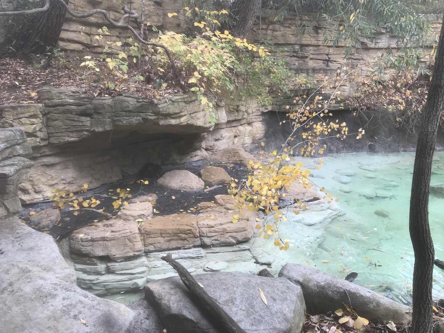Minnesota Trail - American Beaver Exhibit