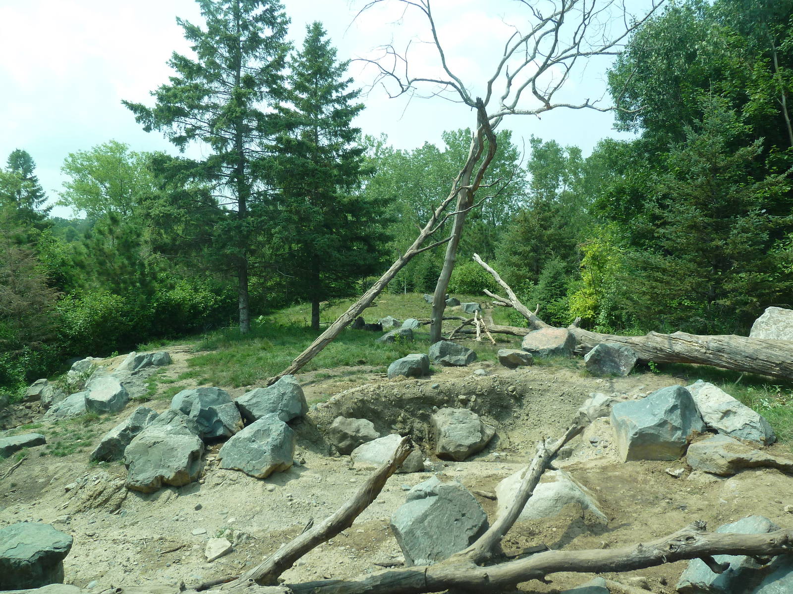 Minnesota Trail - American Black Bear Exhibit (New in 2012)