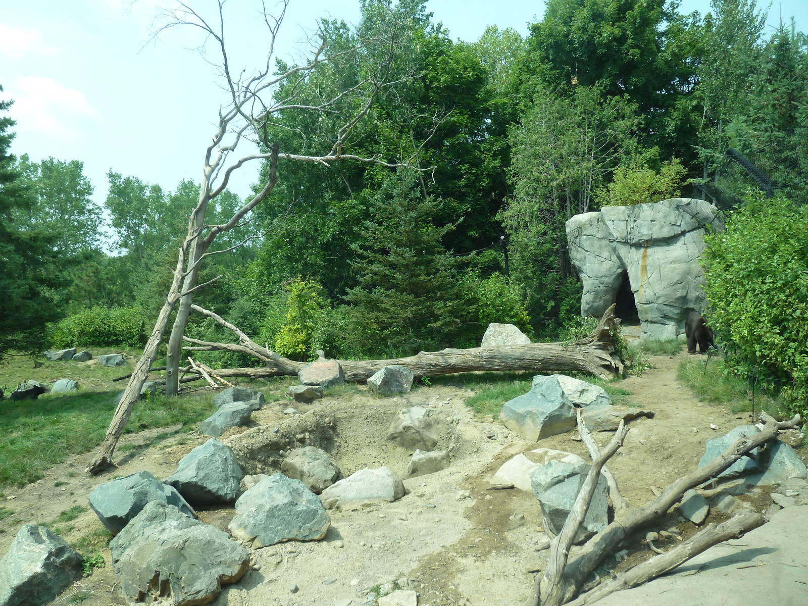 Minnesota Trail - American Black Bear Exhibit (New in 2012)