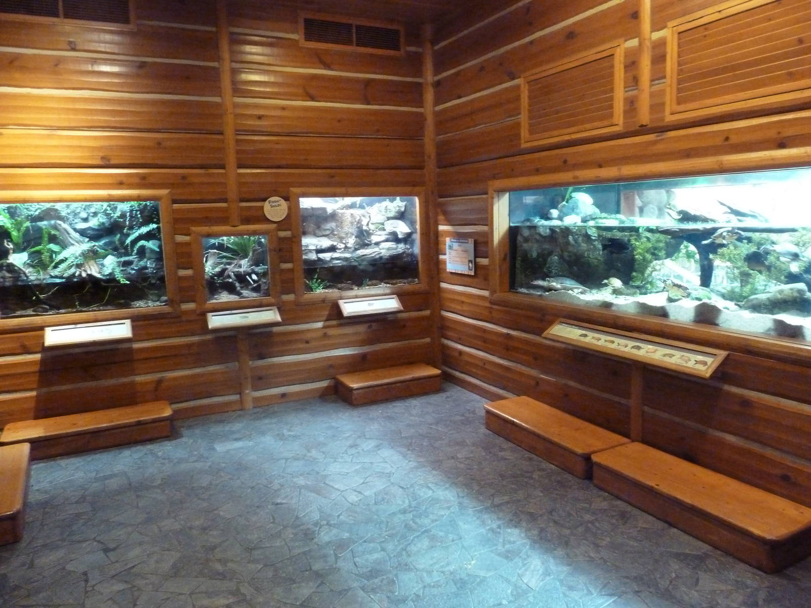 Minnesota Trail - Assorted Terrariums