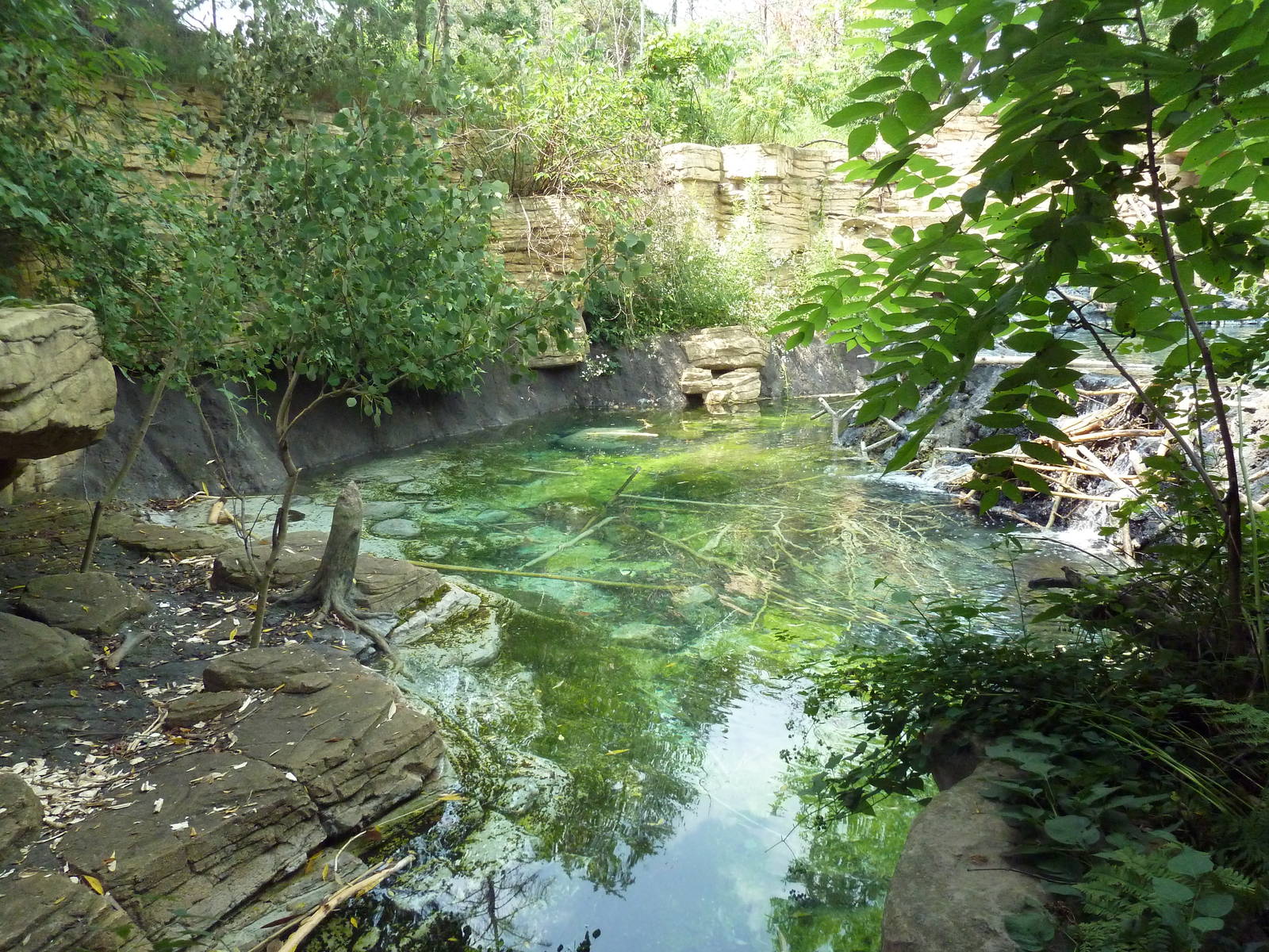 Minnesota Trail - Beaver Exhibit