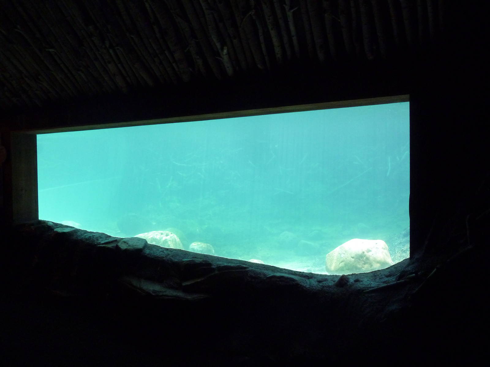 Minnesota Trail - Beaver Exhibit