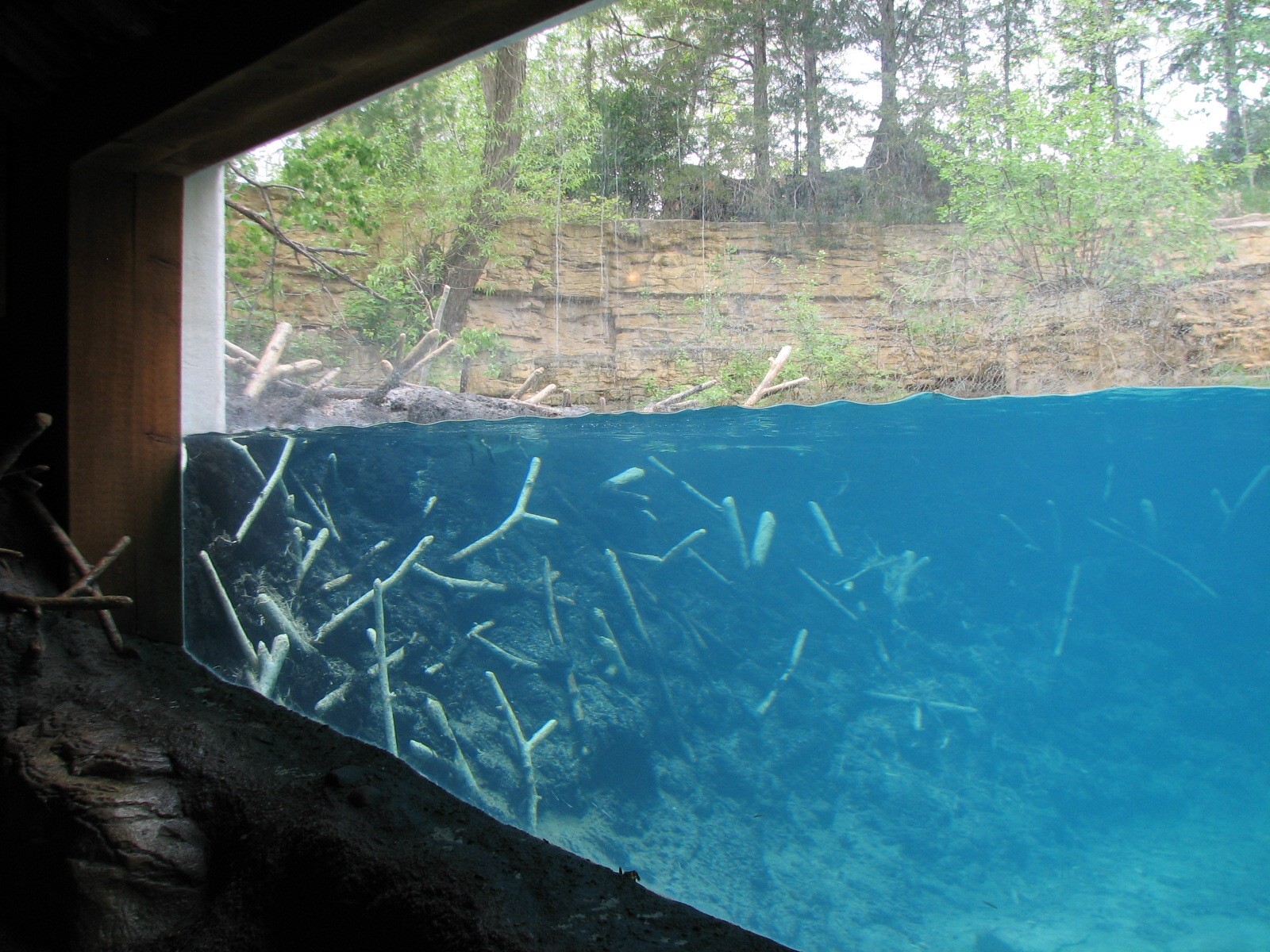 Minnesota Trail - Beaver Exhibit