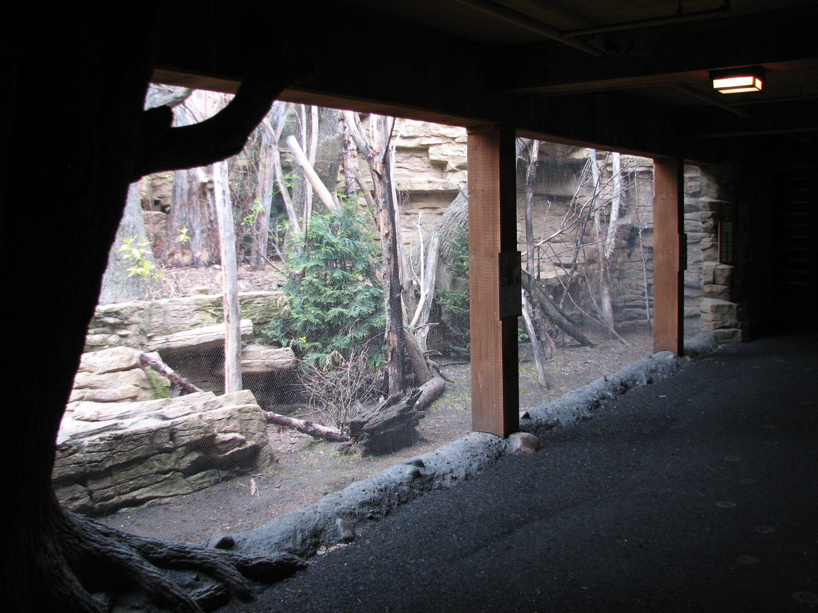 Minnesota Trail - Bird Exhibit