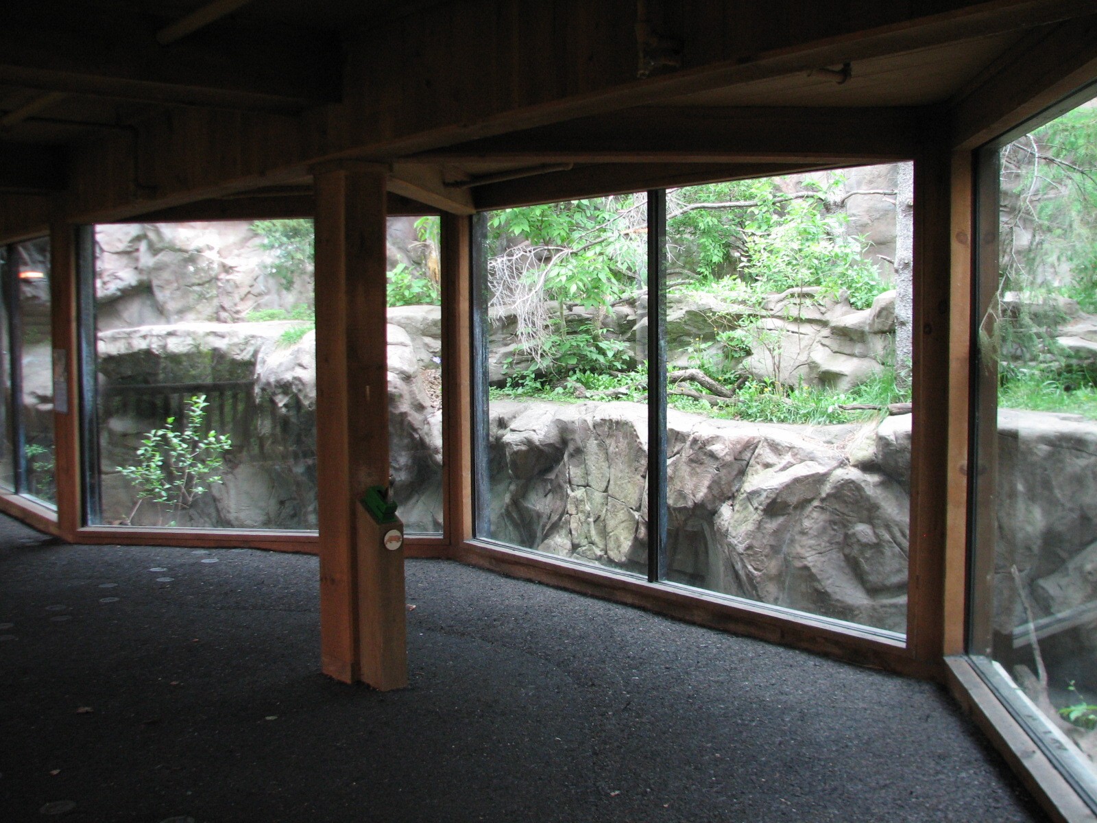Minnesota Trail - Canada Lynx Exhibit