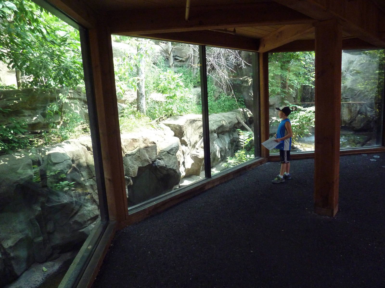 Minnesota Trail - Canadian Lynx Exhibit