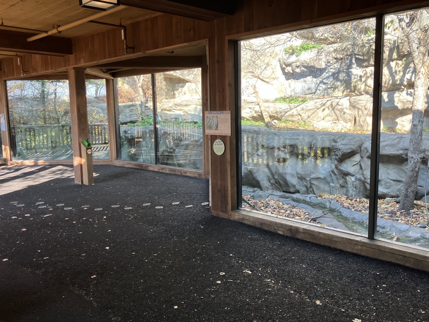 Minnesota Trail - Canadian Lynx Exhibit