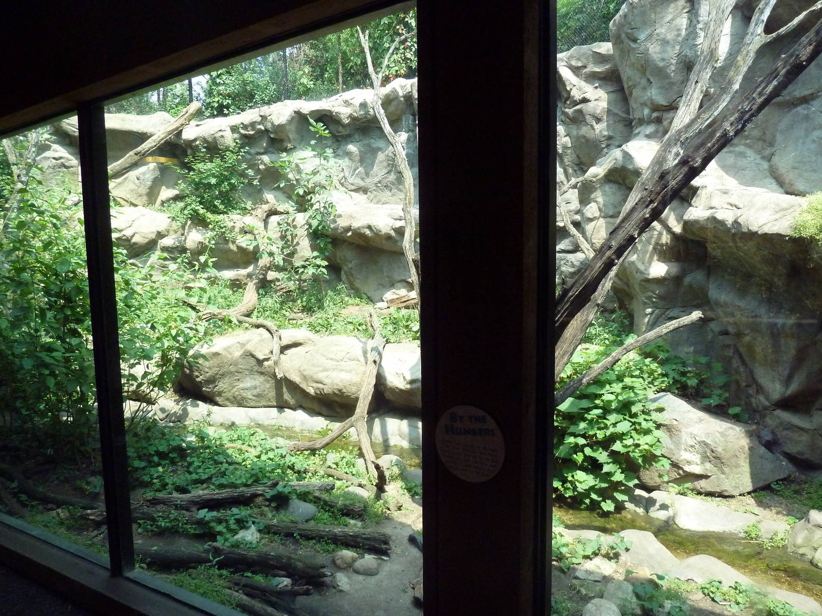 Minnesota Trail - Cougar Exhibit