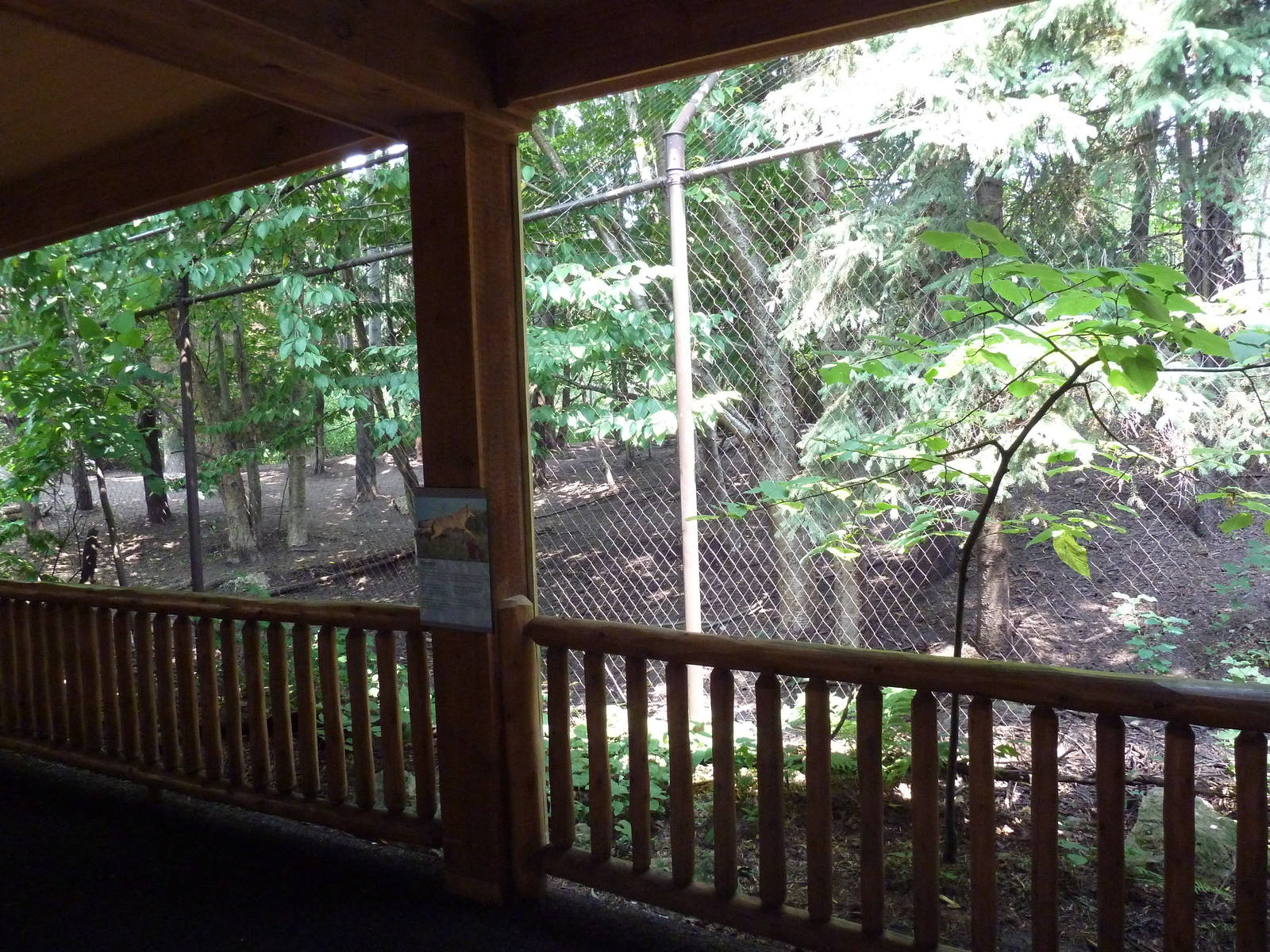 Minnesota Trail - Coyote Exhibit