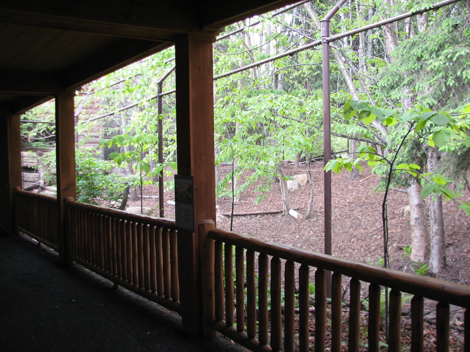 Minnesota Trail - Coyote Exhibit