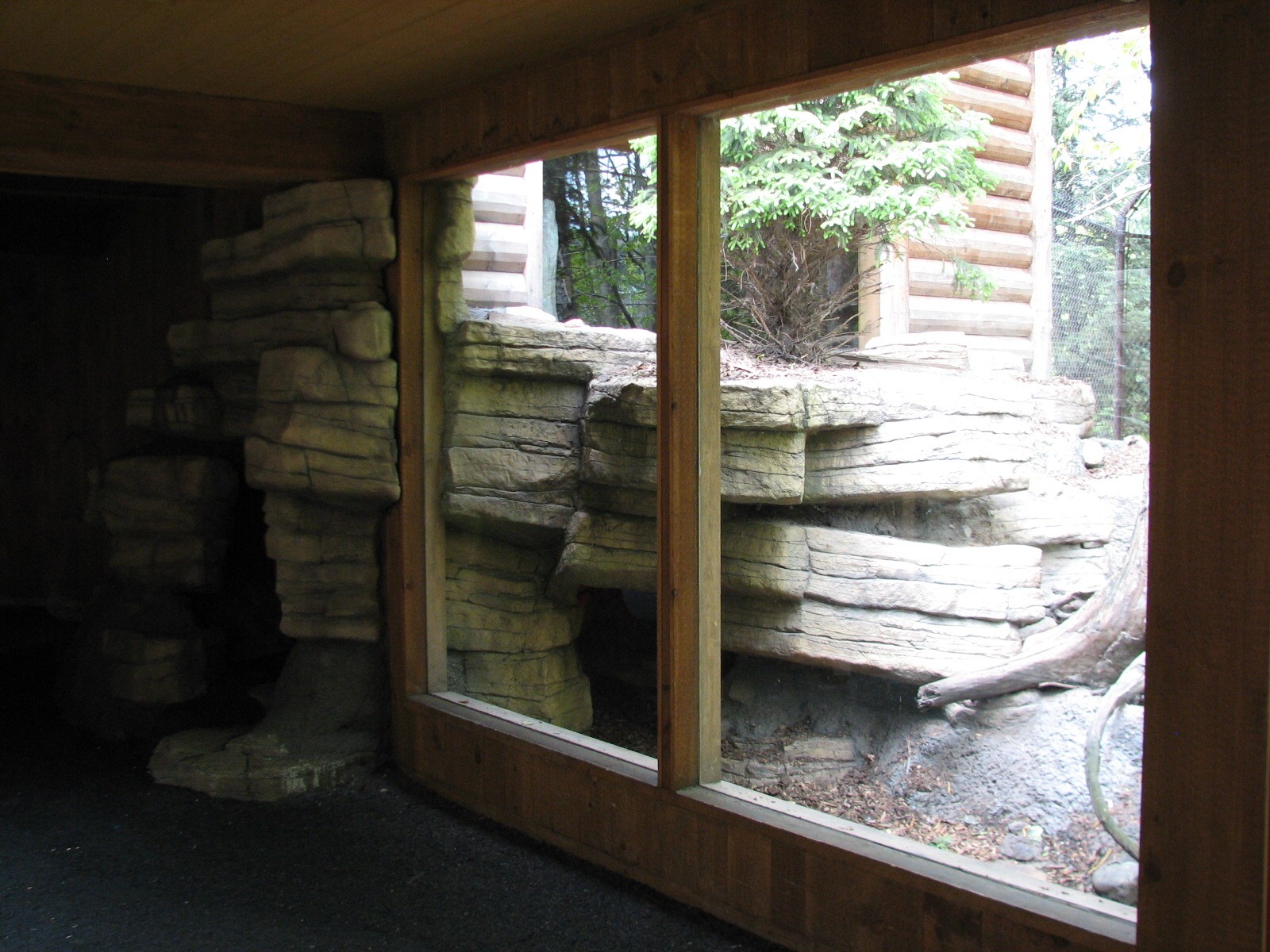 Minnesota Trail - Coyote Exhibit