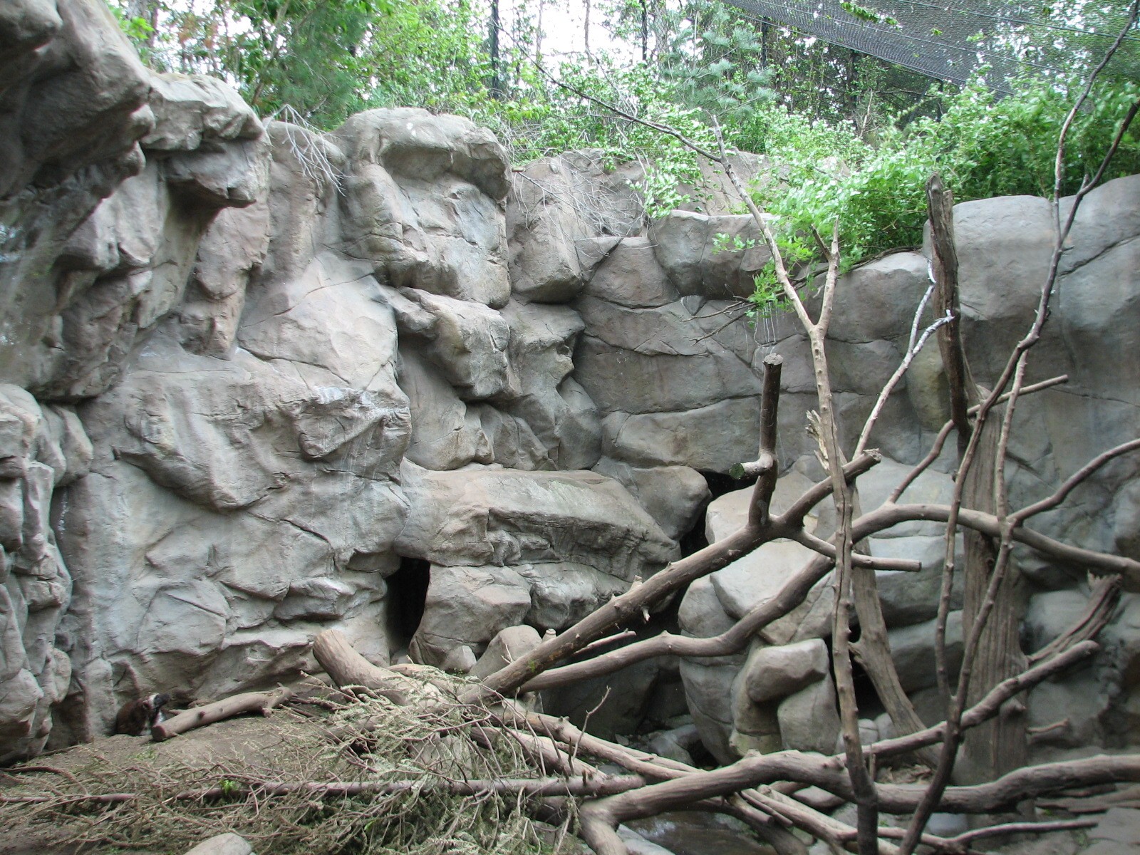 Minnesota Trail - First Wolverine Exhibit