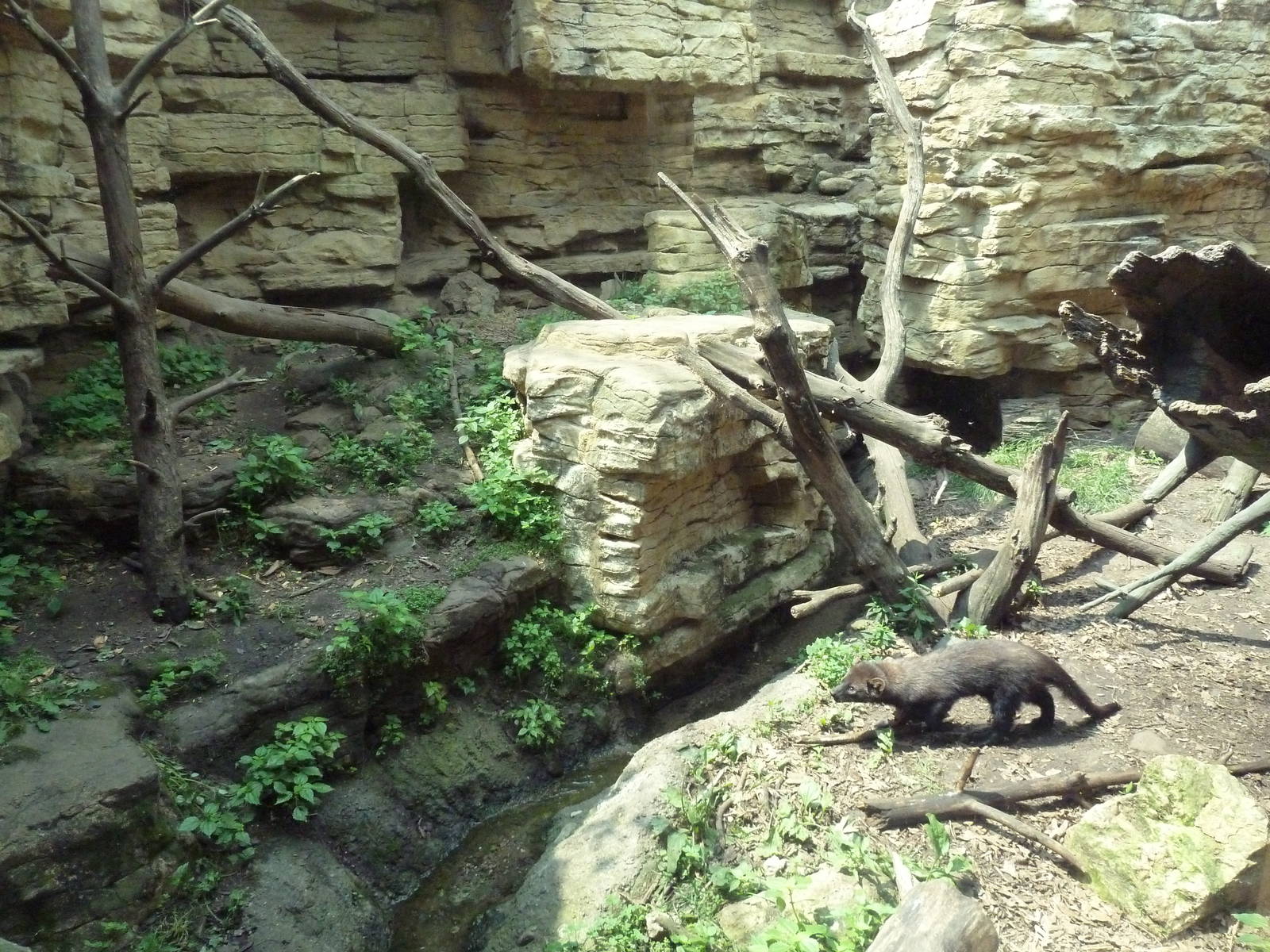 Minnesota Trail - Fisher Exhibit