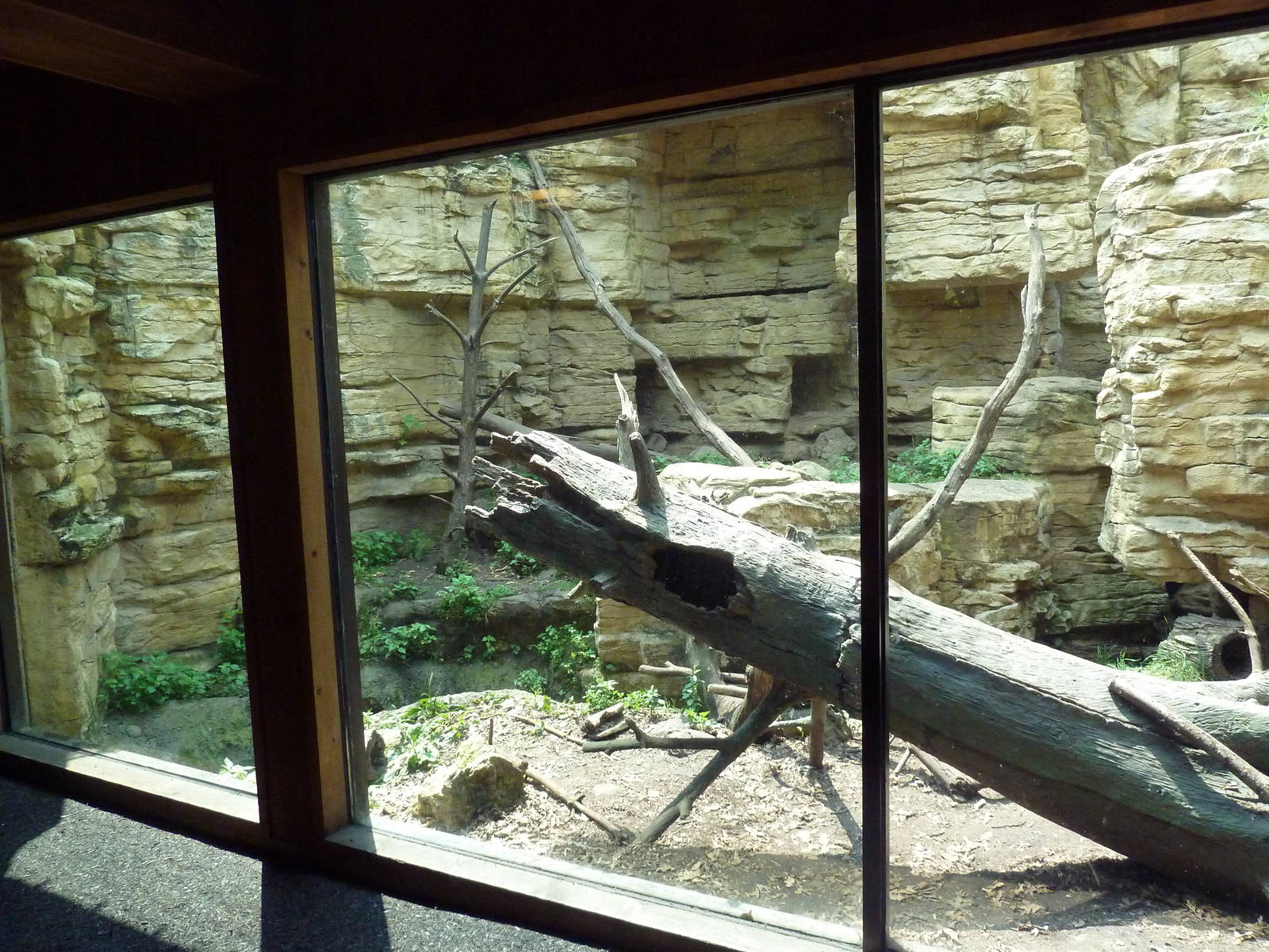 Minnesota Trail - Fisher Exhibit