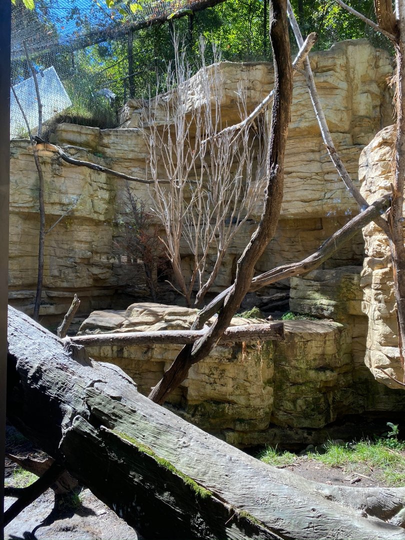 Minnesota trail- fisher exhibit