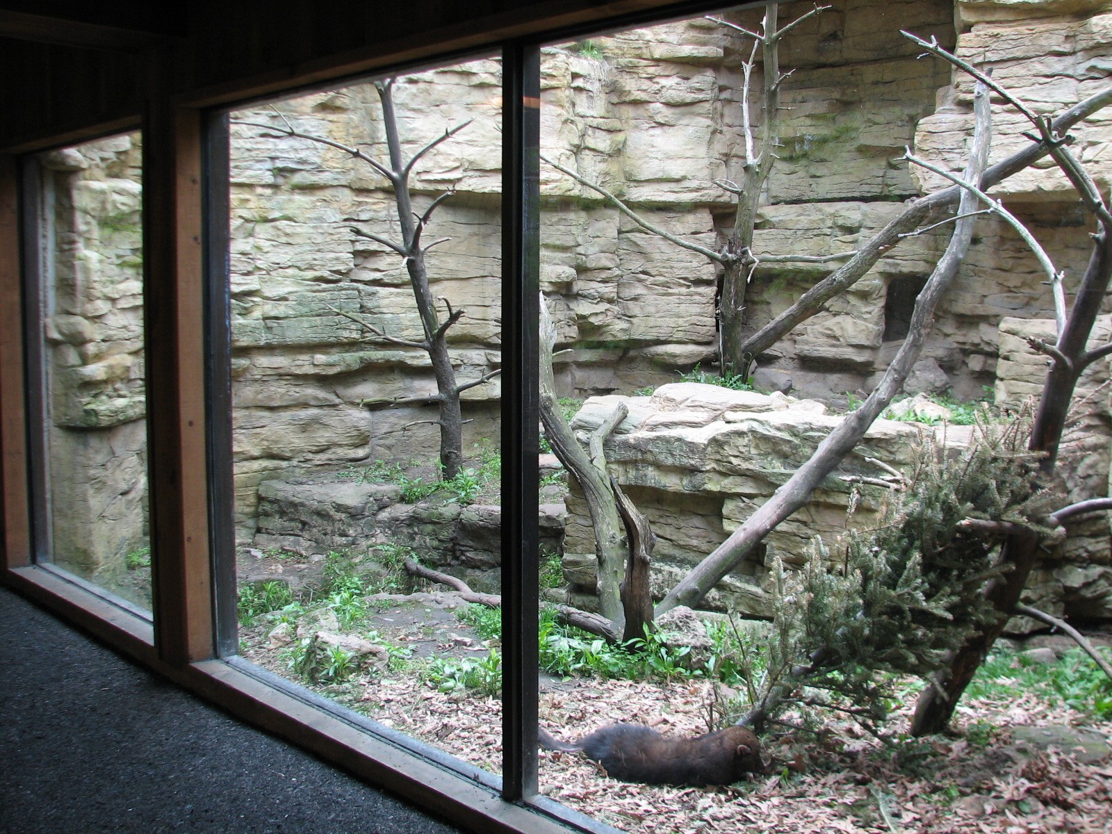 Minnesota Trail - Fisher Exhibit