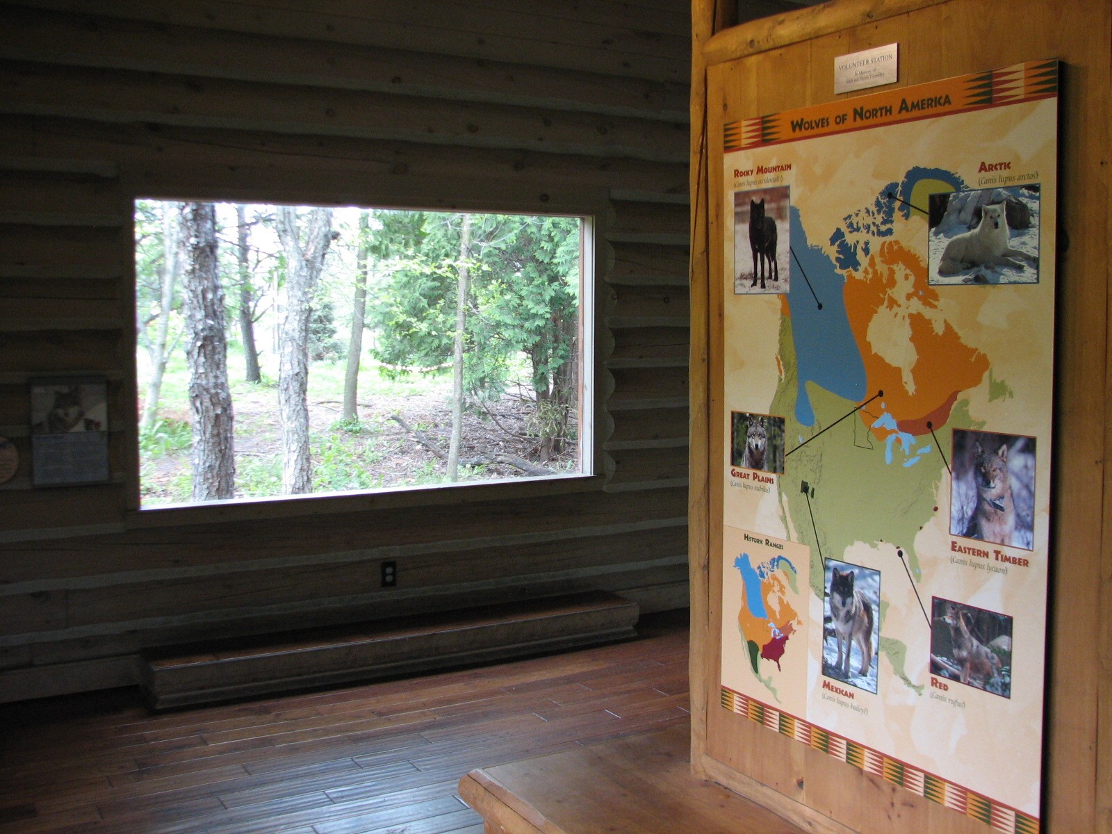 Minnesota Trail - Gray Wolf Exhibit Viewing Area