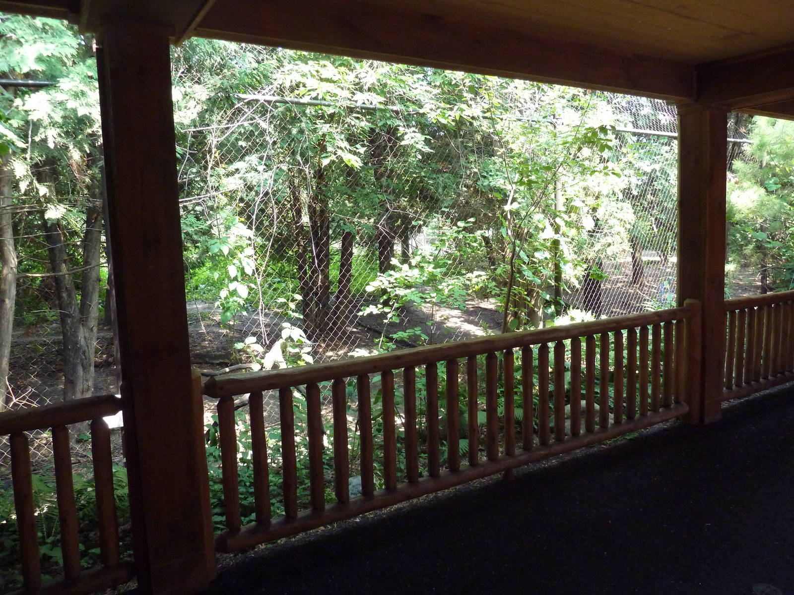 Minnesota Trail - Grey Wolf Exhibit