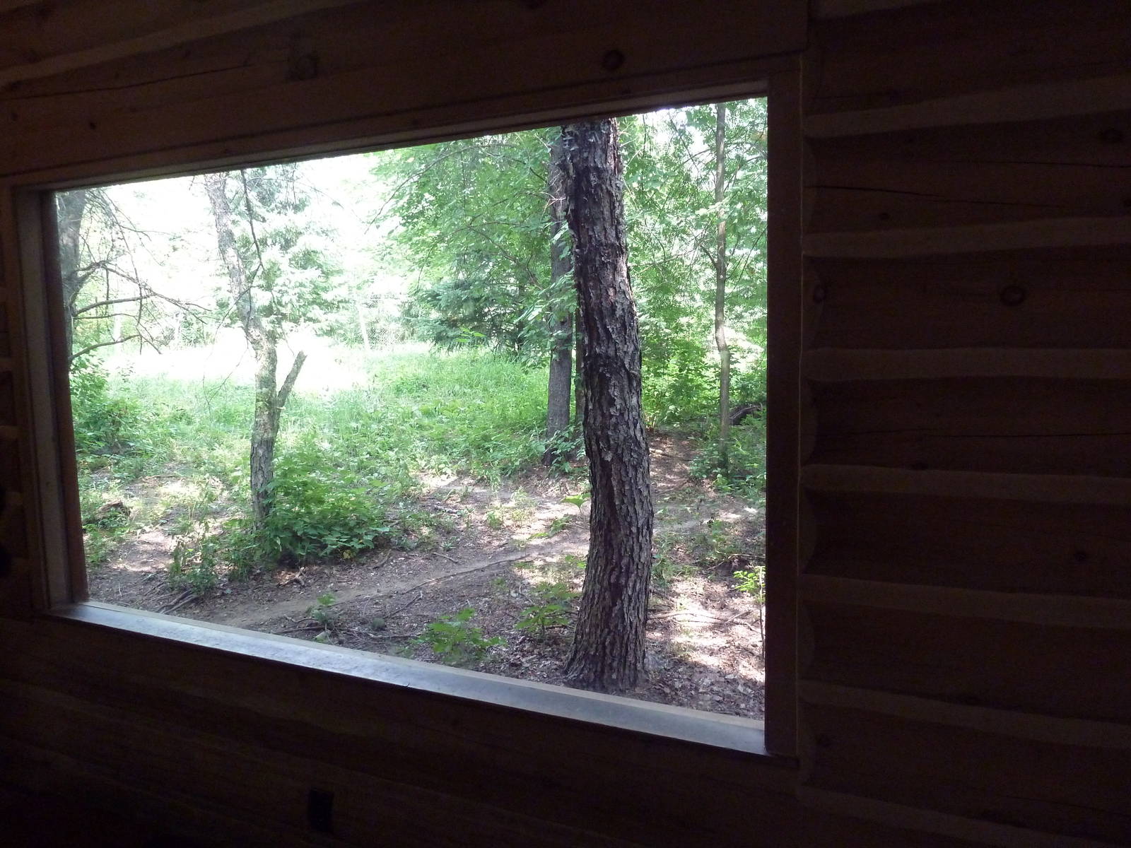 Minnesota Trail - Grey Wolf Exhibit