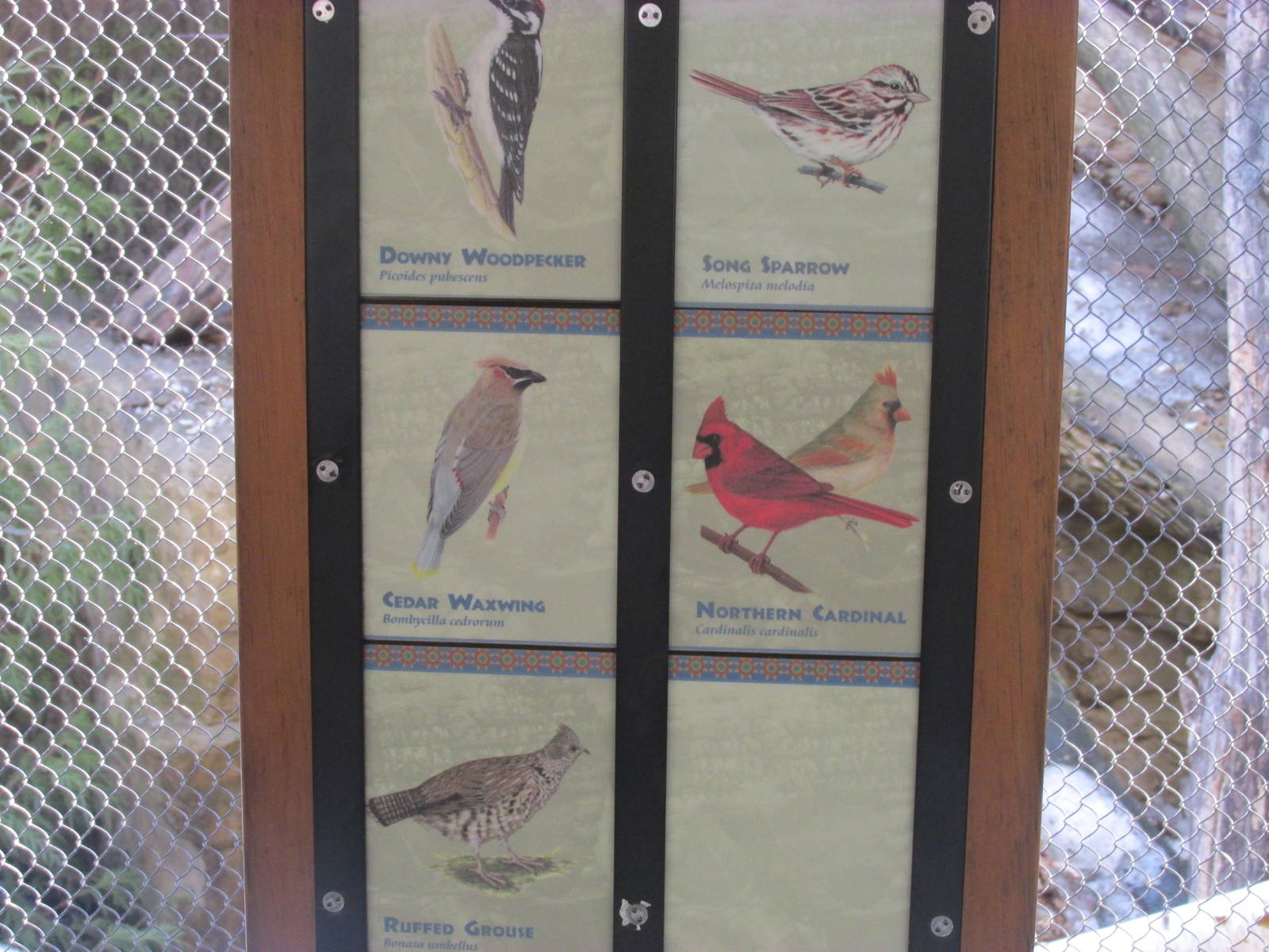 Minnesota Trail NA Bird Avairy Sign