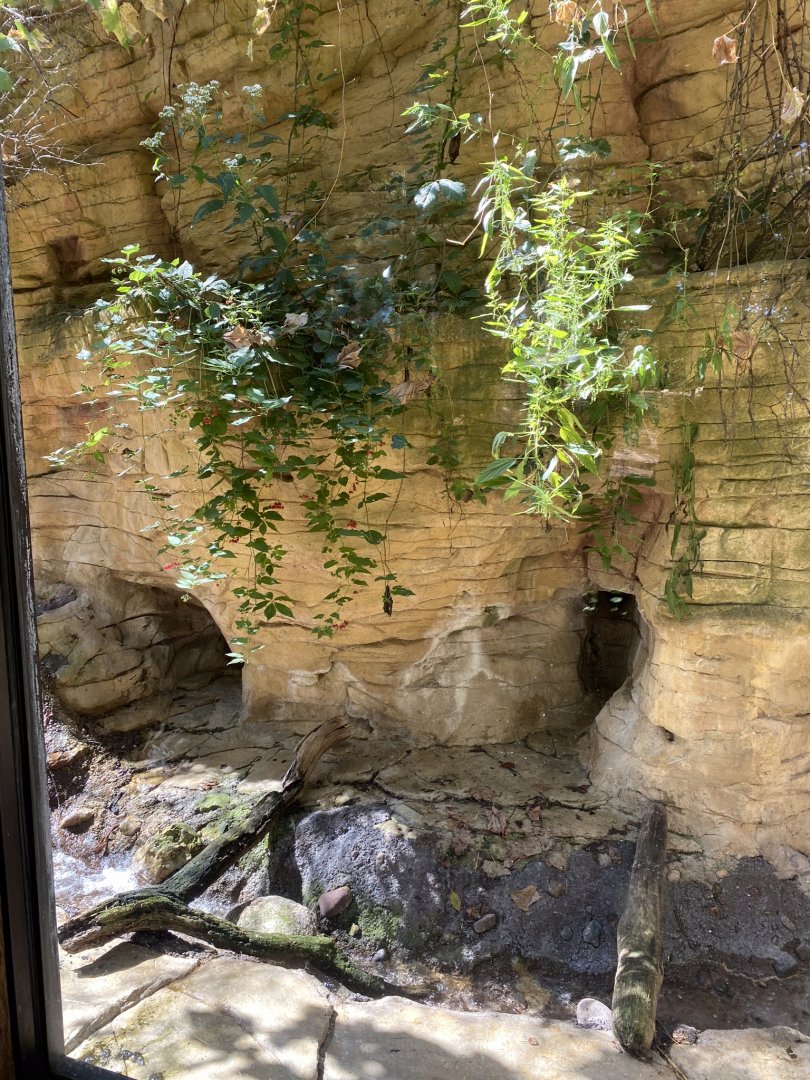 Minnesota trail- North American River otter exhibit