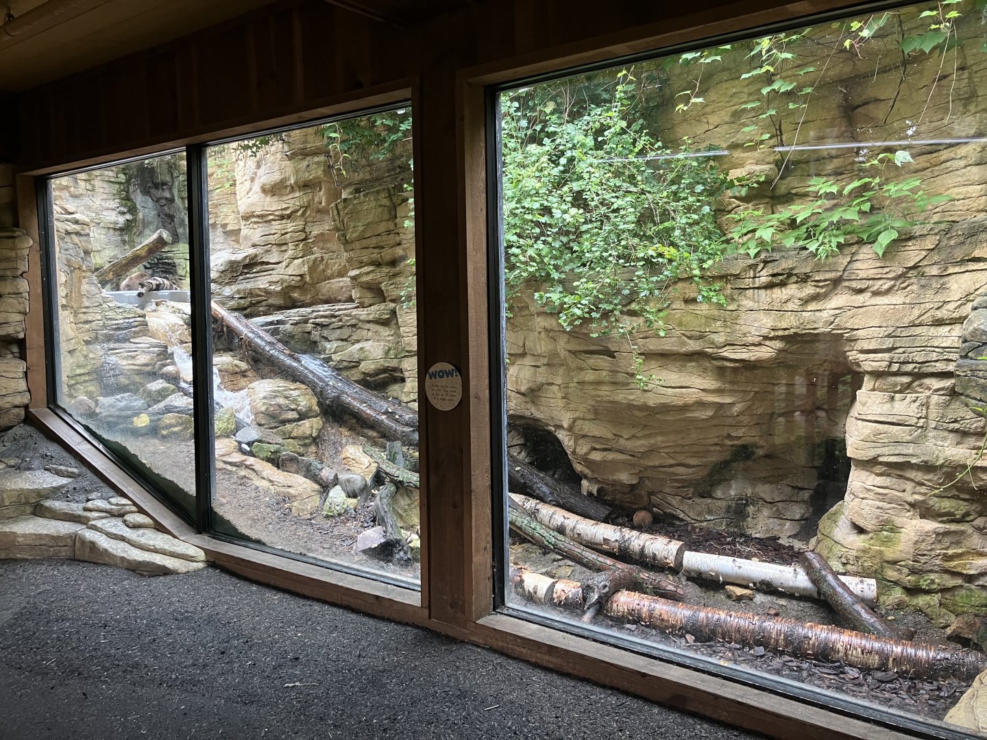 Minnesota Trail - North American River Otter Exhibit