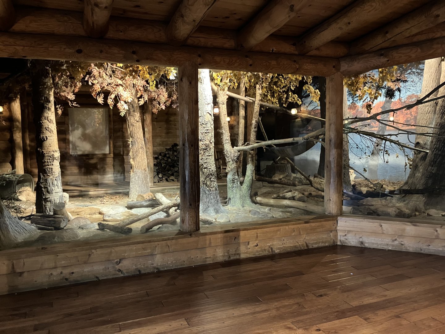 Minnesota Trail - Northern Raccoon Exhibit