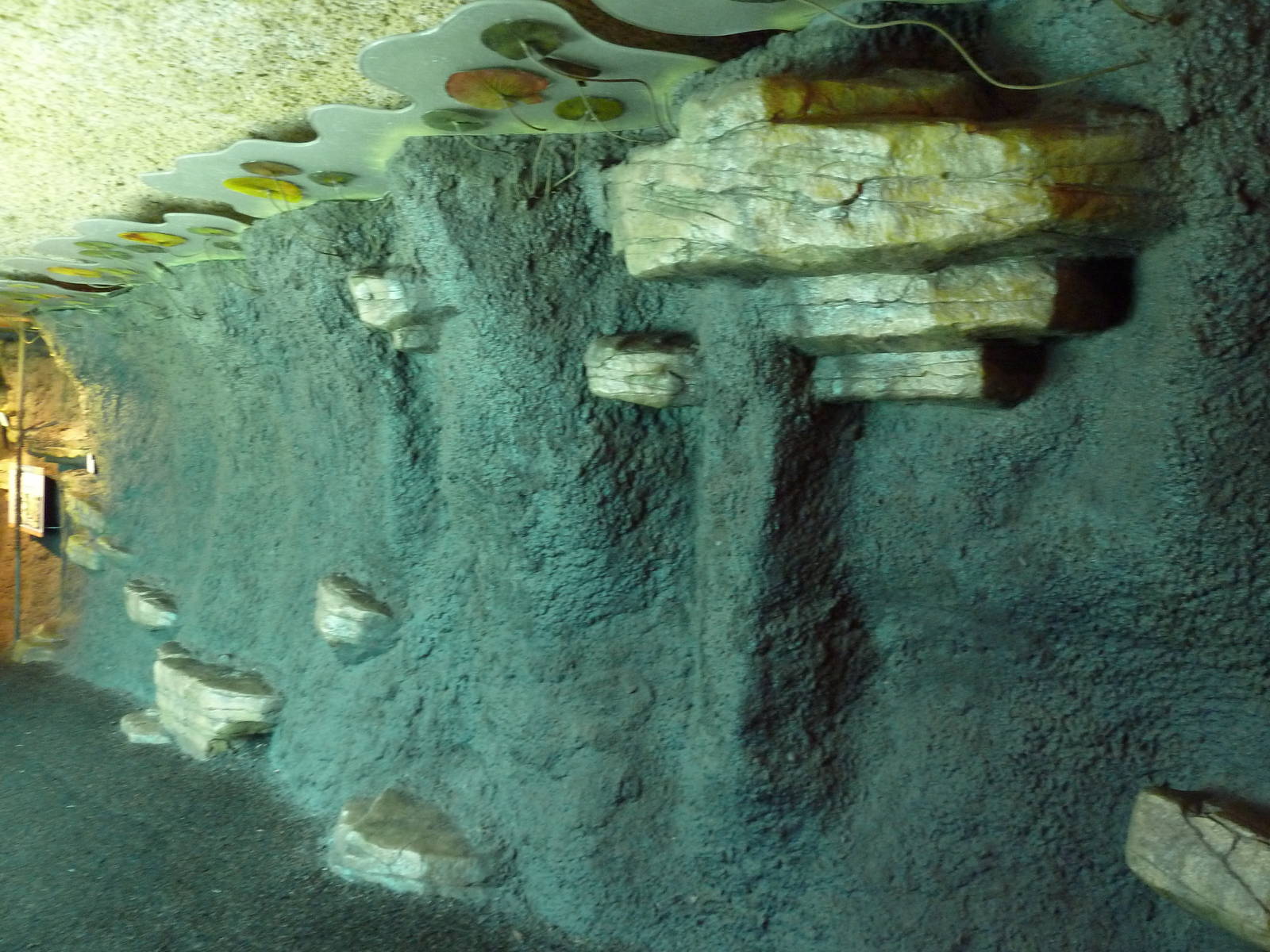 Minnesota Trail - Pathway Immersive Wall