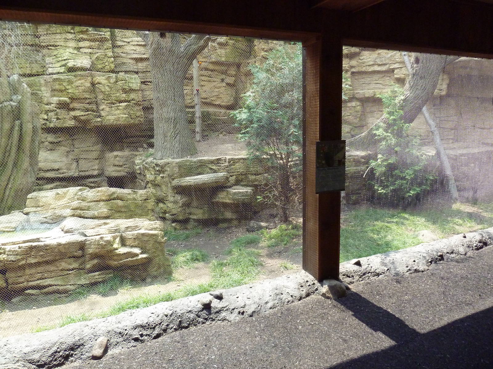 Minnesota Trail - Pileated Woodpecker Exhibit